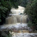 Purakaunui Falls