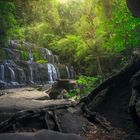 Purakaunui Falls