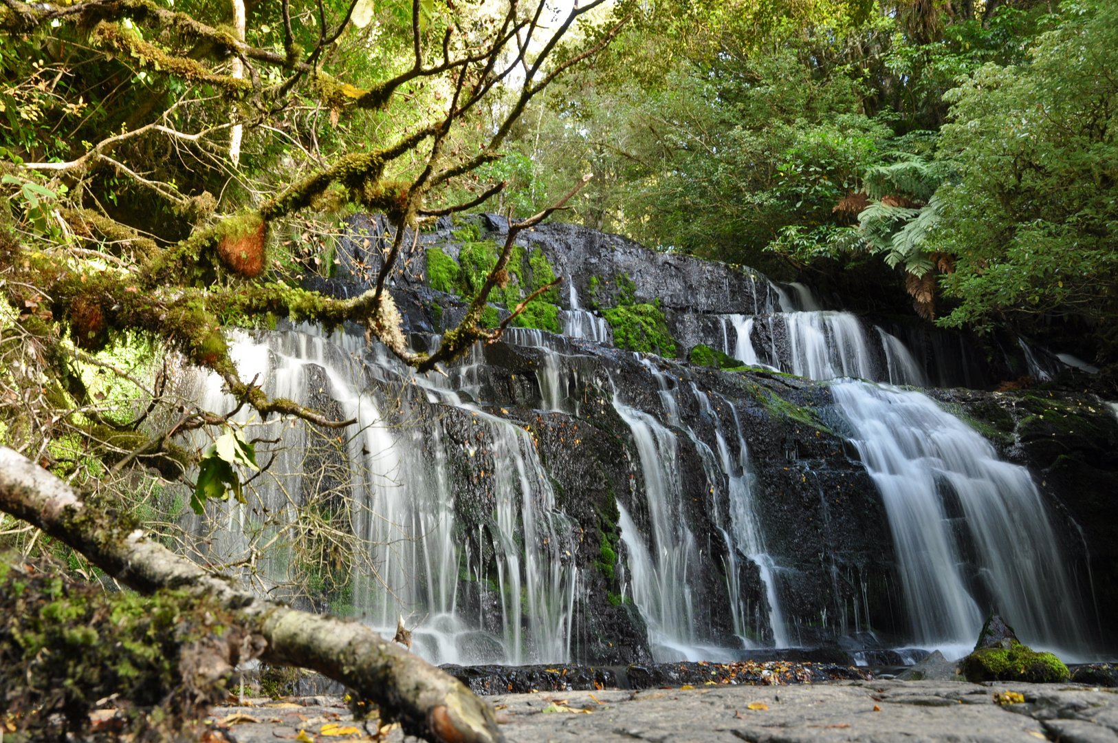 Purakaunui Falls in the Catlins