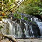 Purakaunui Falls in the Catlins