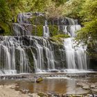 Purakaunui Falls, Neuseeland