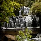 Purakaunui Falls - Neuseeland - Südinsel