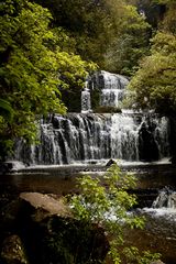 Purakaunui Falls - Neuseeland - Südinsel