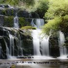 Purakaunui Falls New Zealand