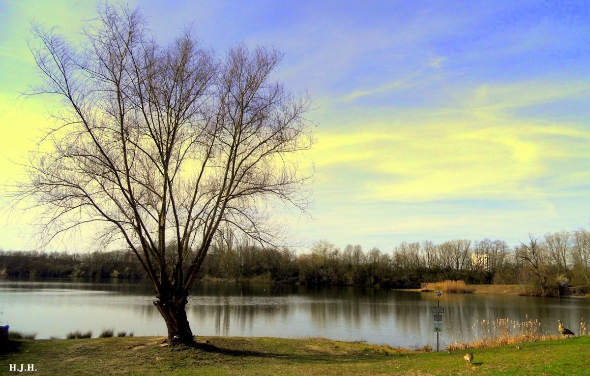 Pure Entspannung am See