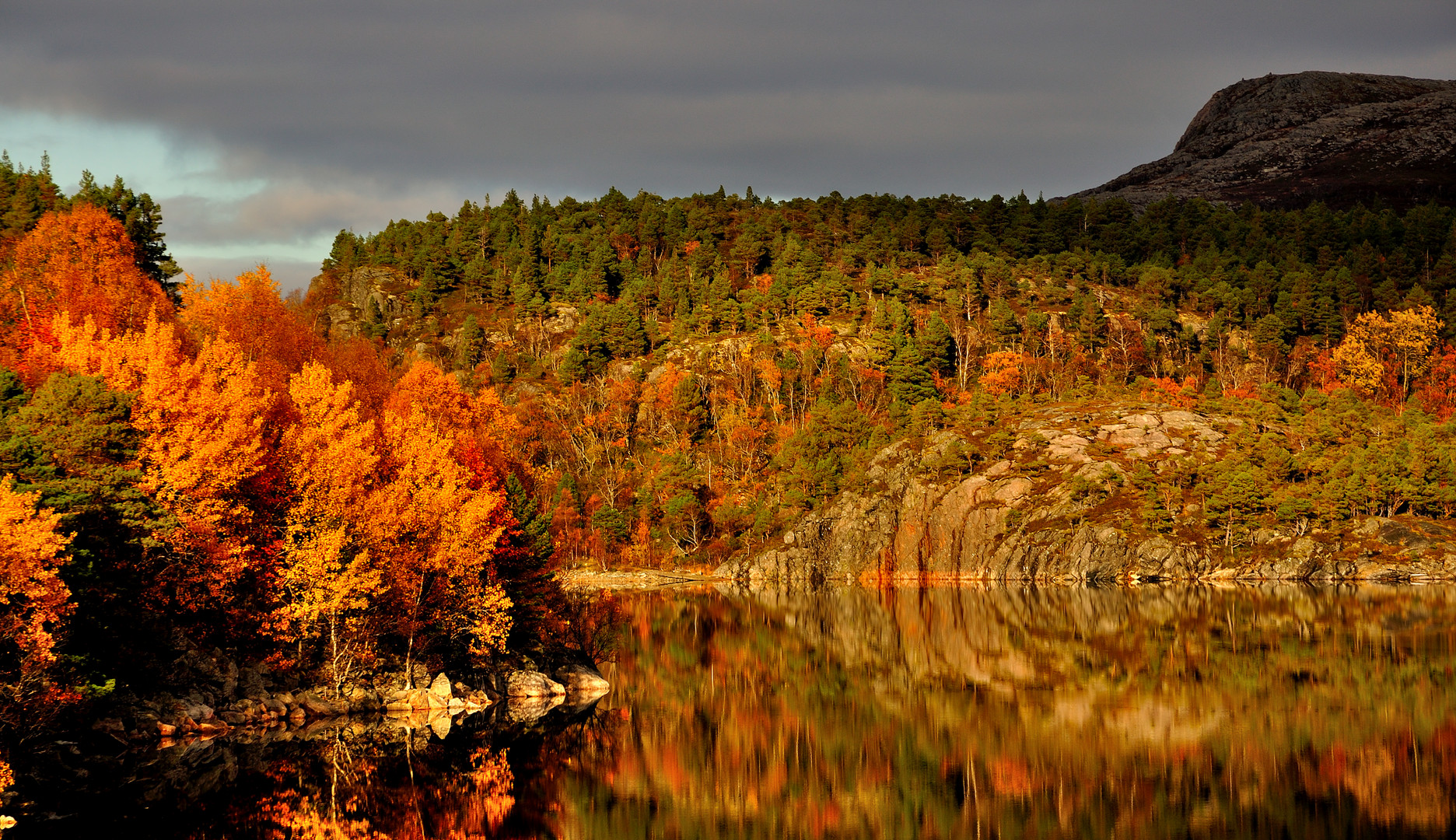 pure Herbstfarben