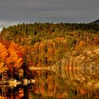 pure Herbstfarben