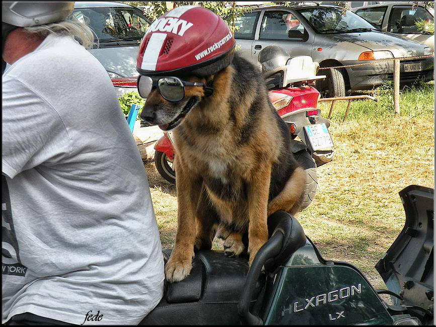 PURE IL CASCO MI DEVO METTERE!!!!