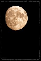 "Pure Moon"