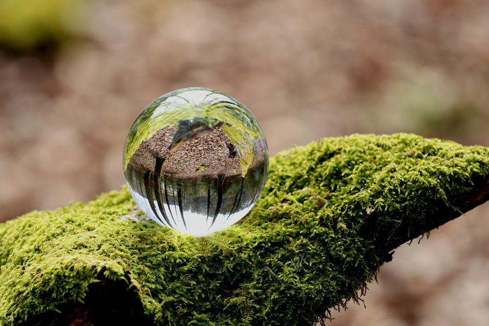 Pure Nature Foto & Bild fotos, natur, landschaft Bilder auf