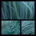 Pure Nature – Grass