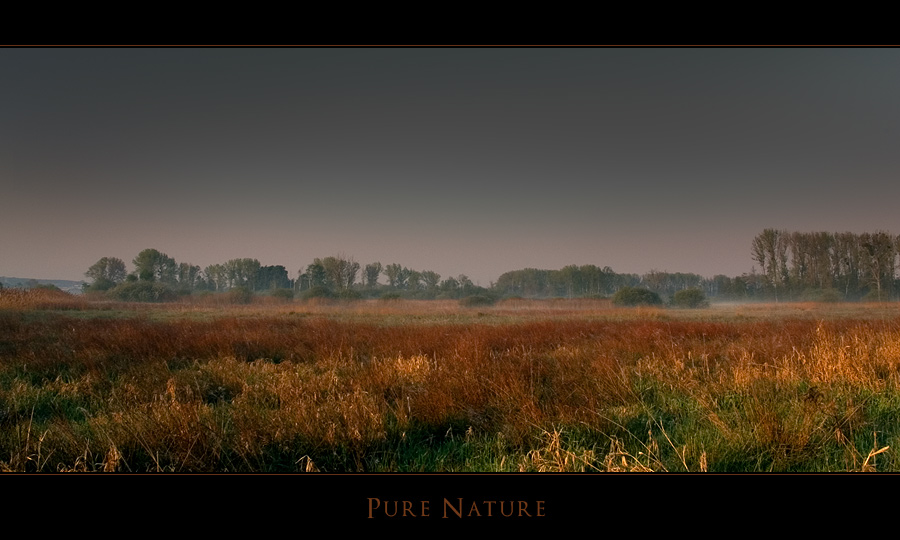 Pure Nature I