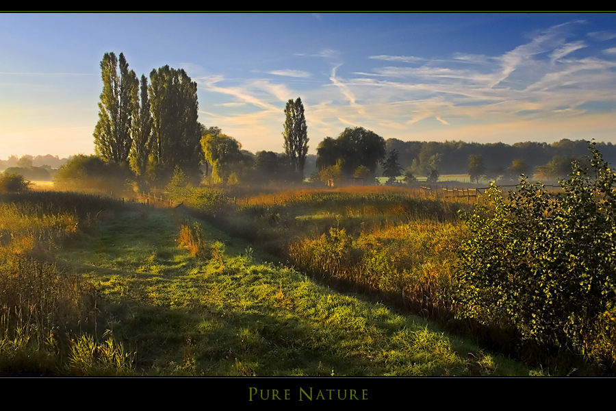 Pure Nature II