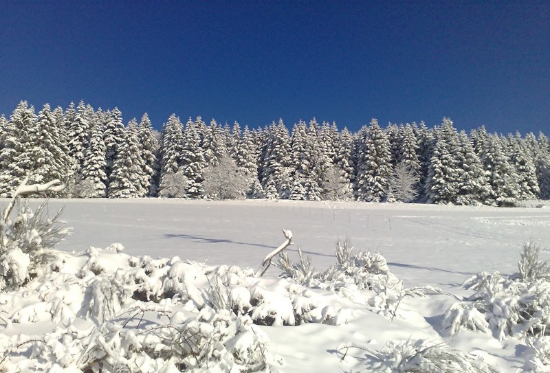 Pureté de l'hiver