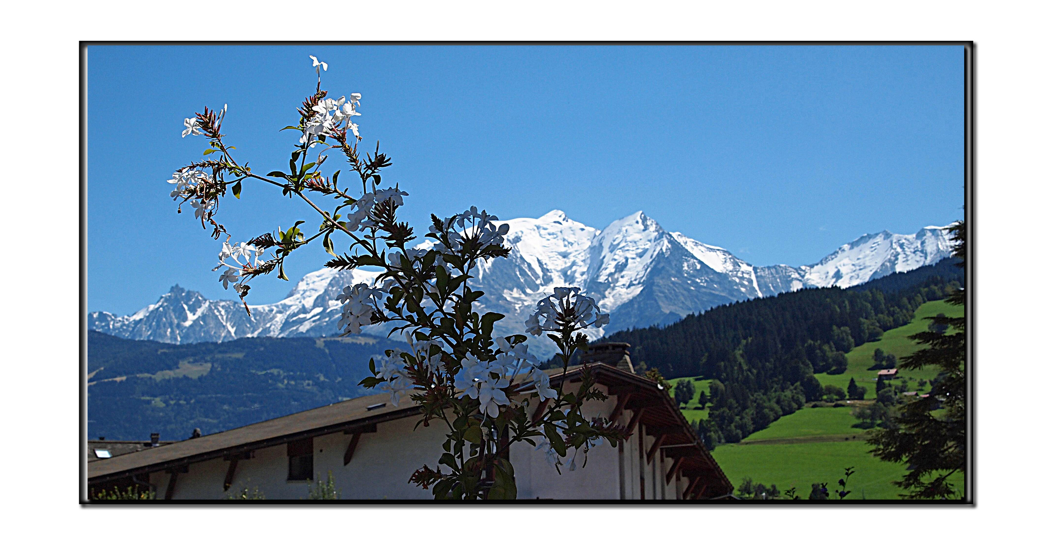 puretè du blanc...