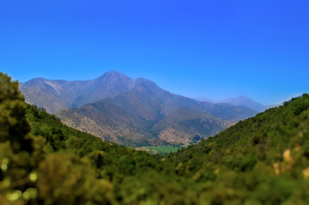 Purgatory hill, Valle el Canelo, Chile