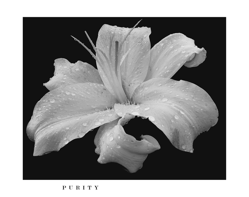 PURITY