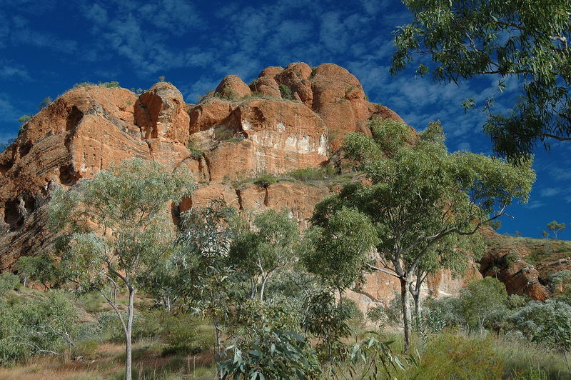 Purnululu NP - Bungles Bungles