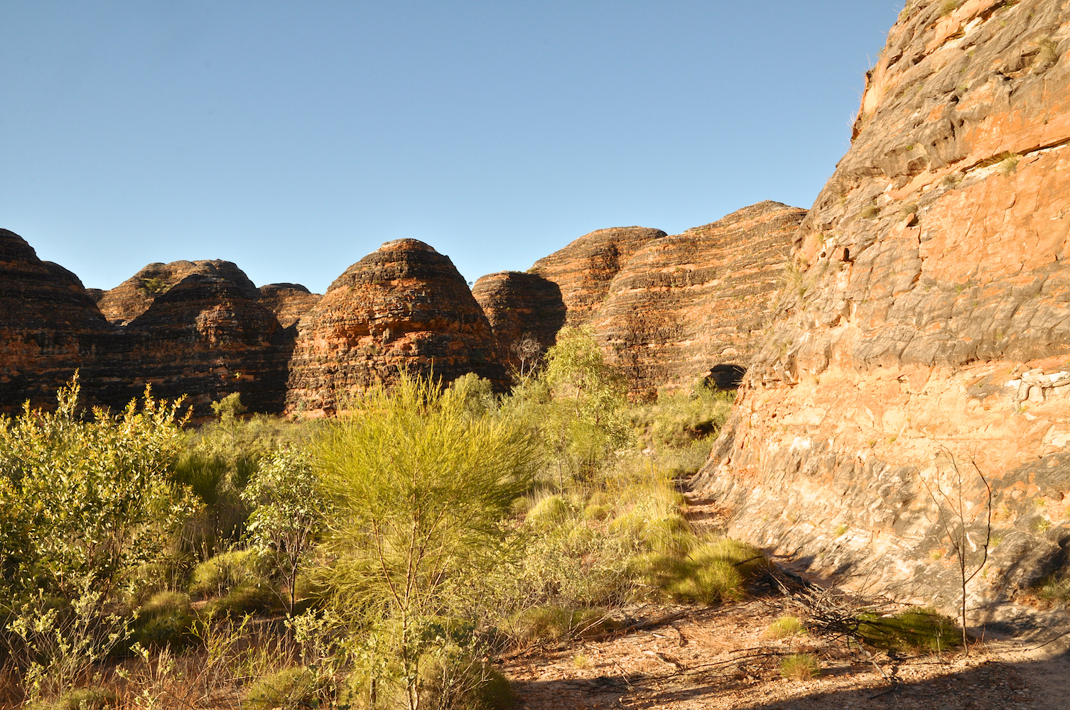 PURNULULU_PICCANINNY TRAIL #21