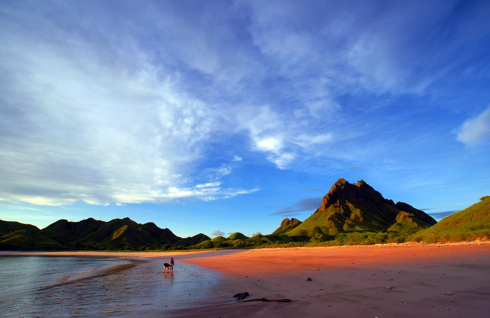 Purple Beach