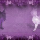 Purple Cats