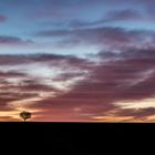 Purple clouds