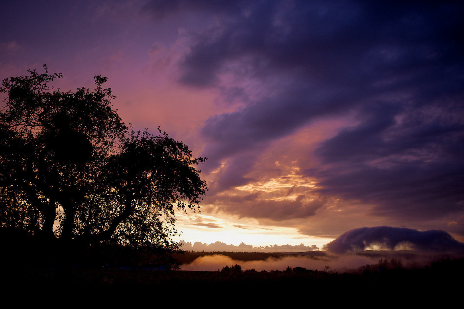 Purple Clouds