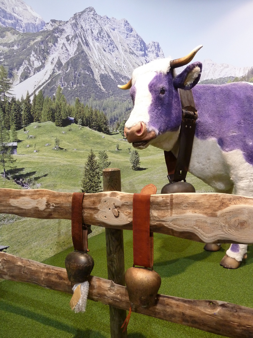 Purple cow