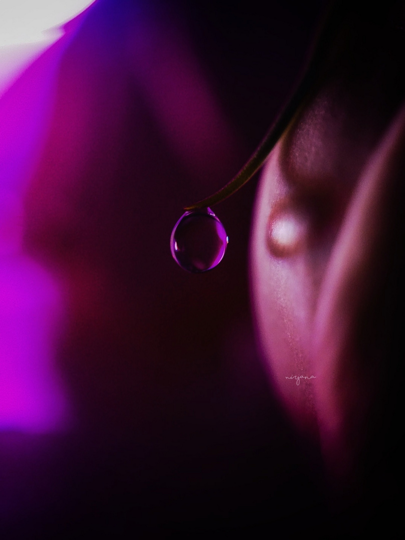 Purple Drop