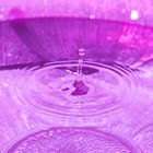 purple drop