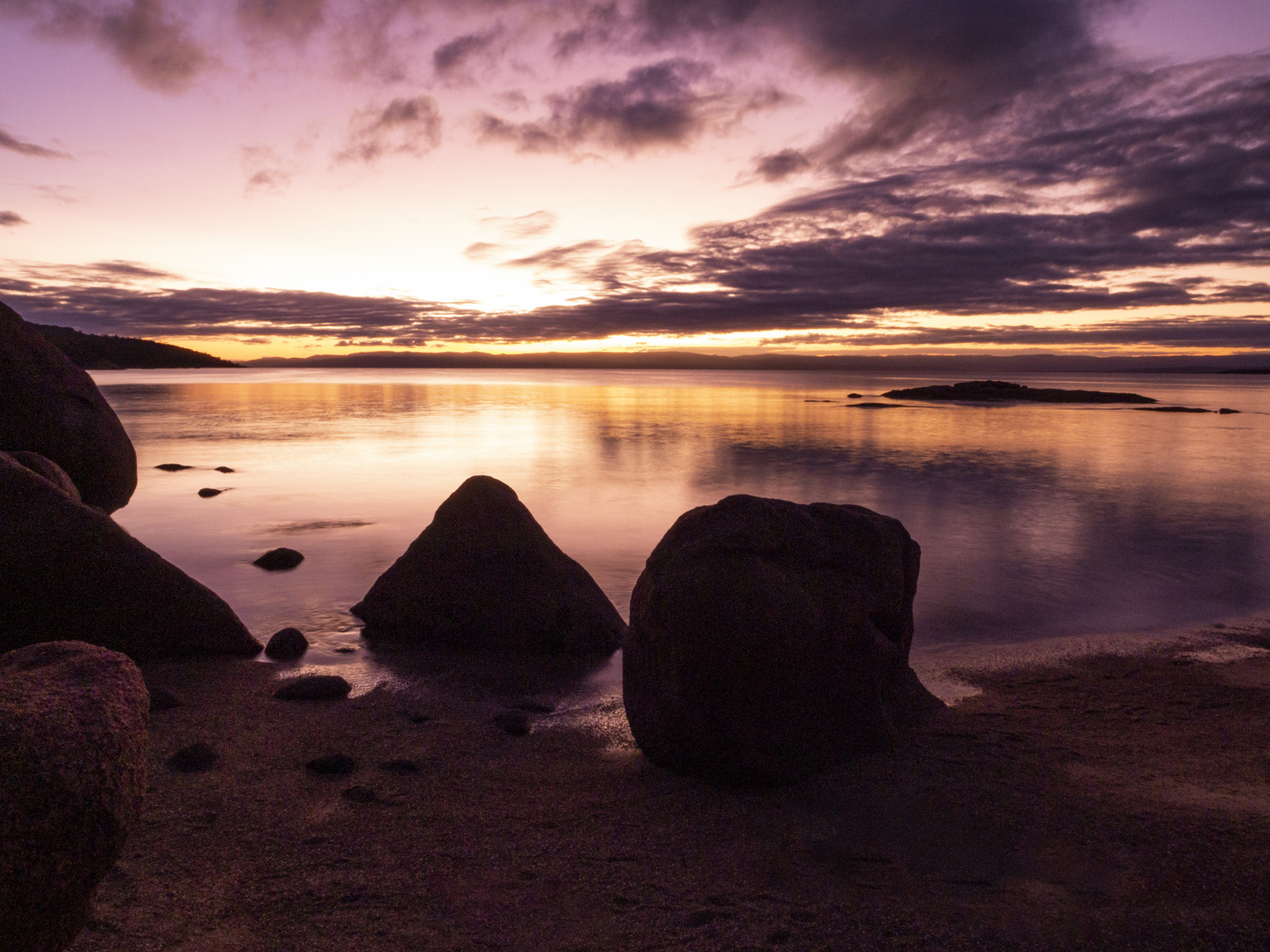 Purple Dusk