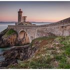 Purple Evening in Brittany