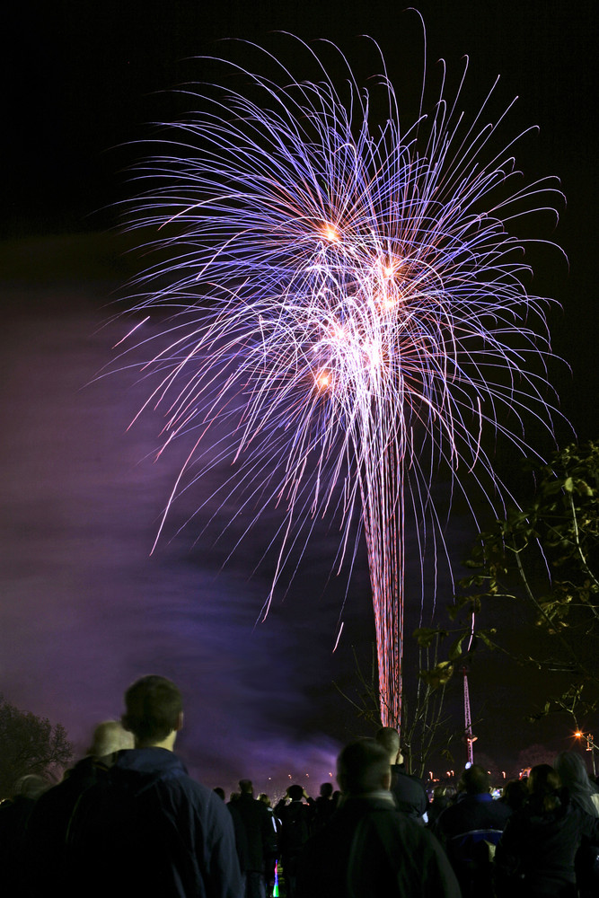 Purple fireworks