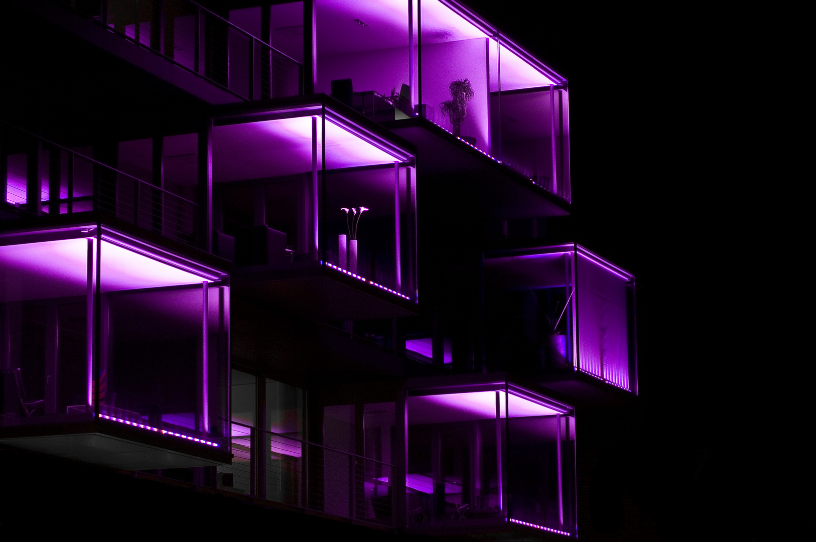 Purple House