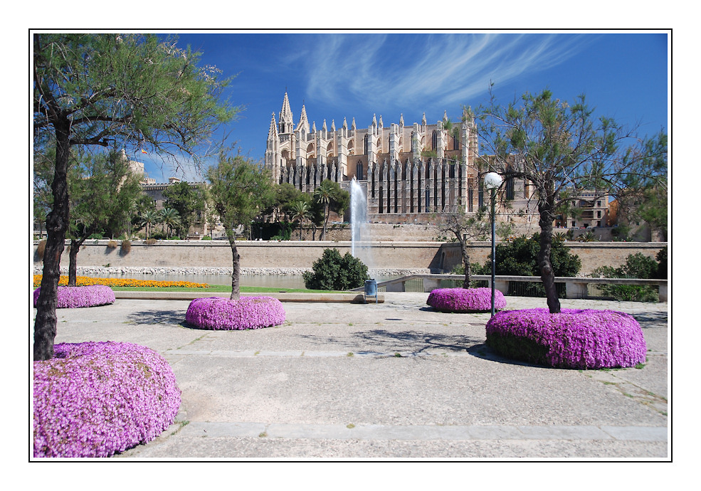 Purple La Seu