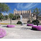 Purple La Seu