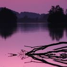 Purple Lake