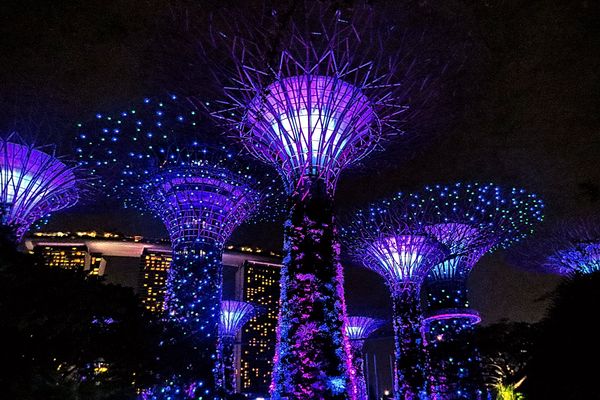 Purple, Lilac, Mauve, Blue, Pink  ...