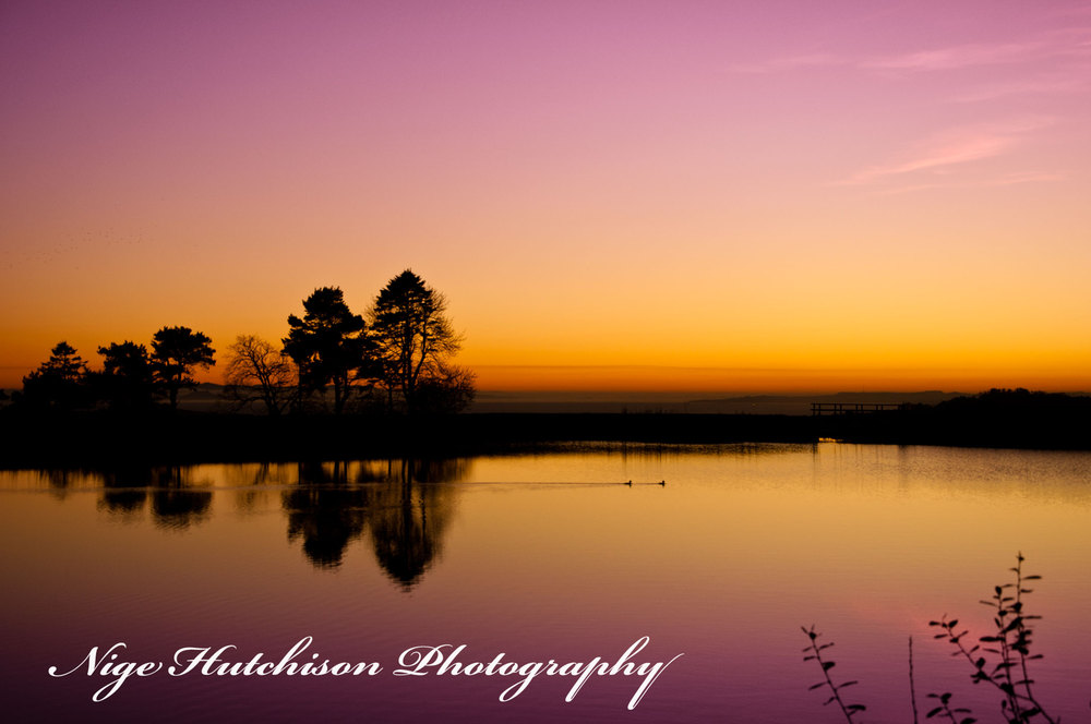 purple Loch