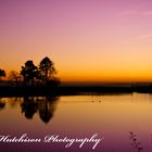 purple Loch