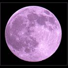 Purple Moon