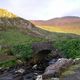 Purple Mountain - Killarney - Irland