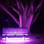 Purple Park Bench