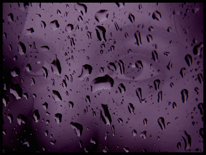 *purple rain*