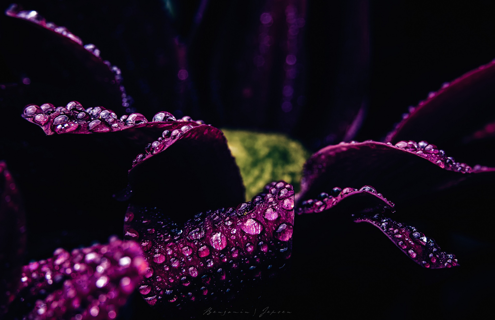 - Purple rain -