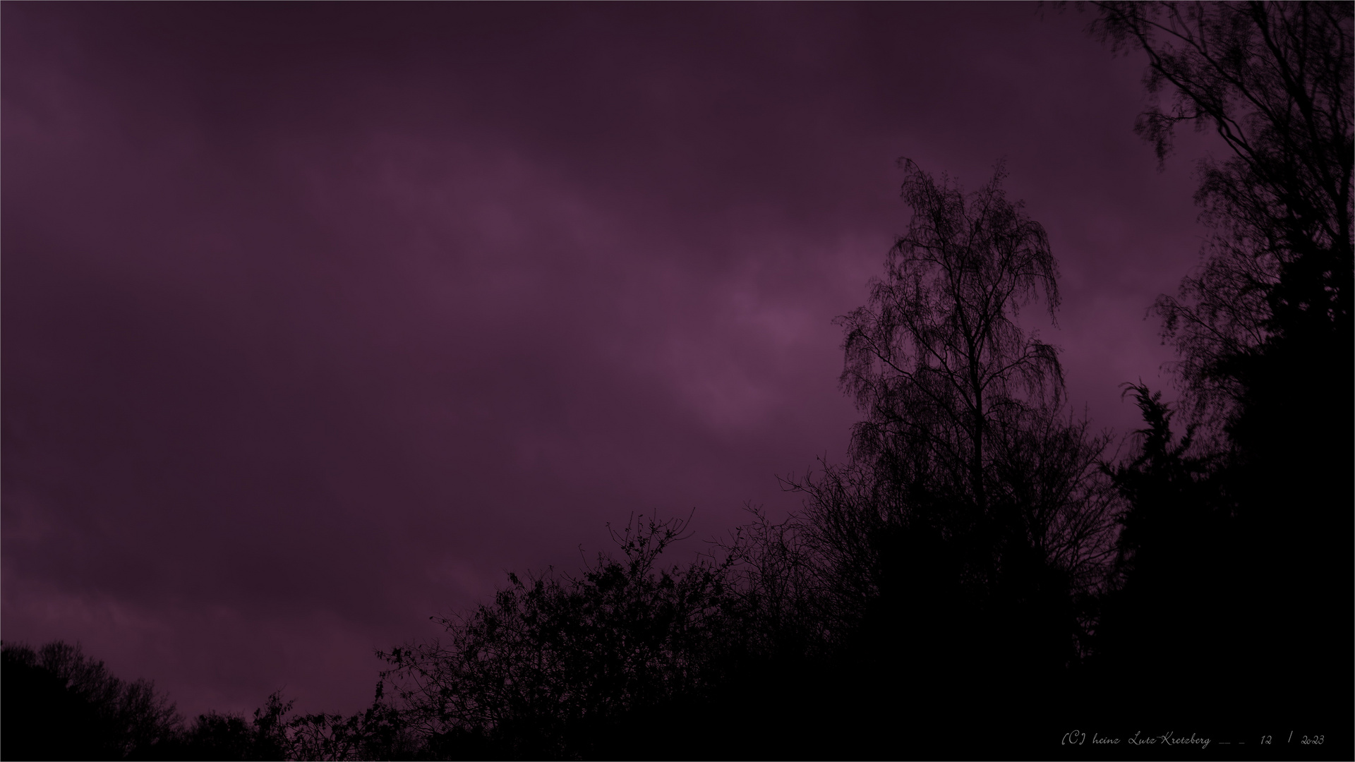  Purple  Rain