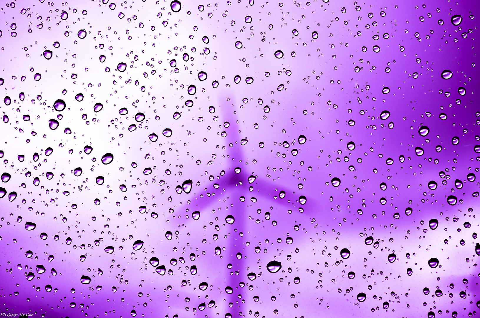 Purple Rain II