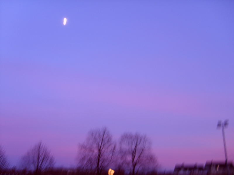 purple sky