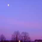 purple sky