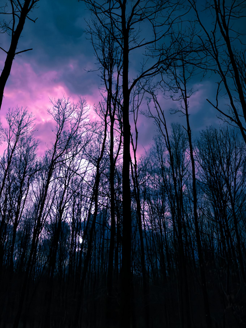 Purple Sky